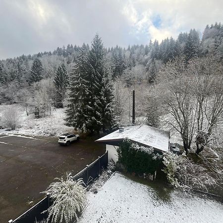 Studio Chalet Cosy Gérardmer Zewnętrze zdjęcie