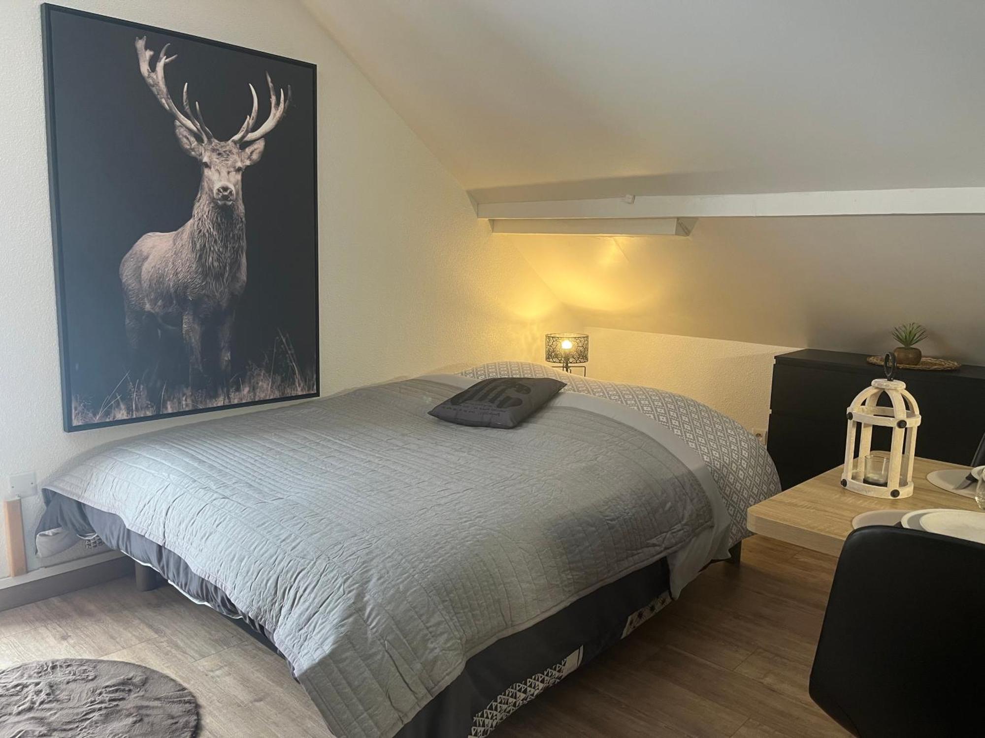 Studio Chalet Cosy Gérardmer Zewnętrze zdjęcie